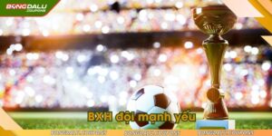 bxh-doi-manh-yeu-ava