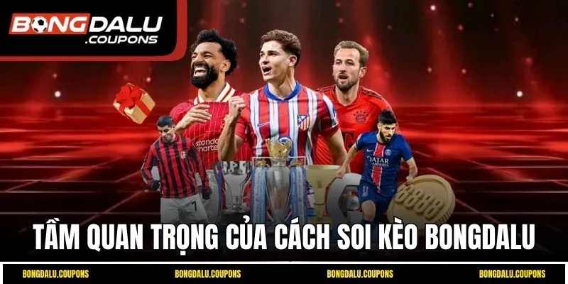 Tầm quan trọng của cách soi kèo Bongdalu
