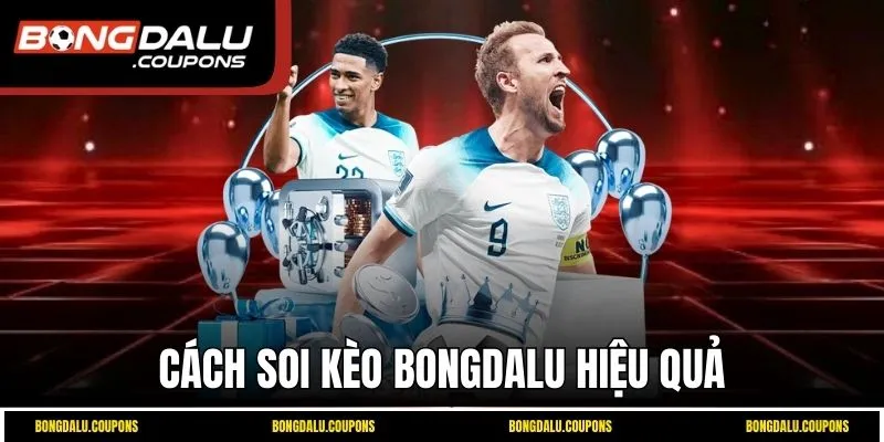 Cách soi kèo Bongdalu hiệu quả