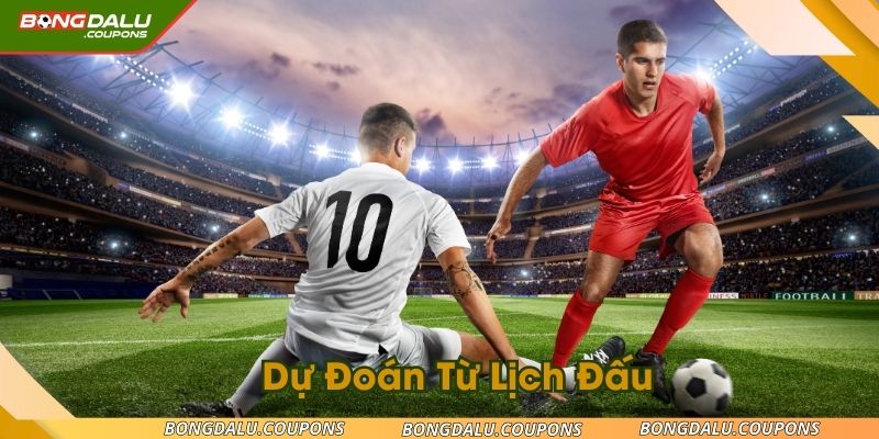 du-doan-tu-lich-dau-ava