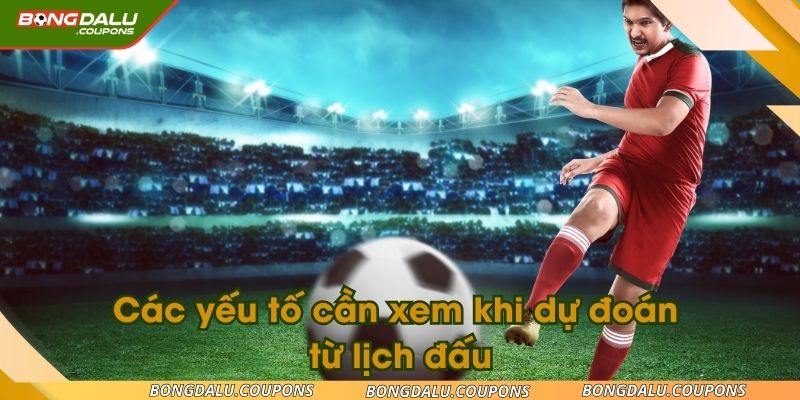 Cách dự đoán từ lịch đấu hiệu quả từ chuyên gia