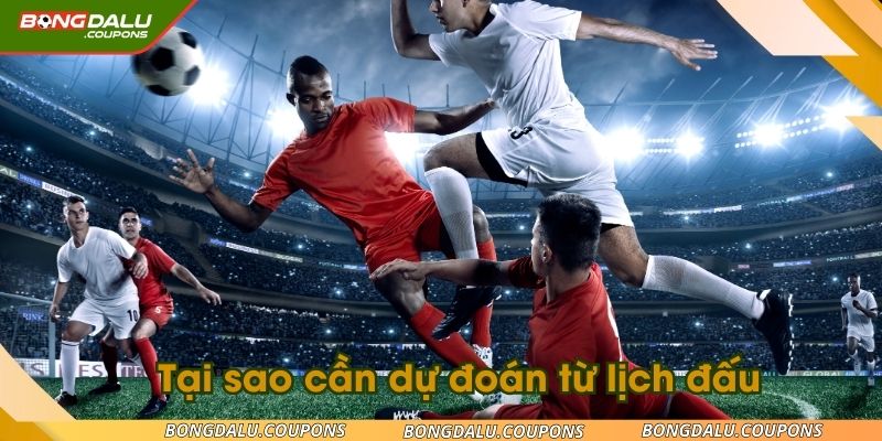 Tại sao người chơi cần dự đoán từ lịch đấu