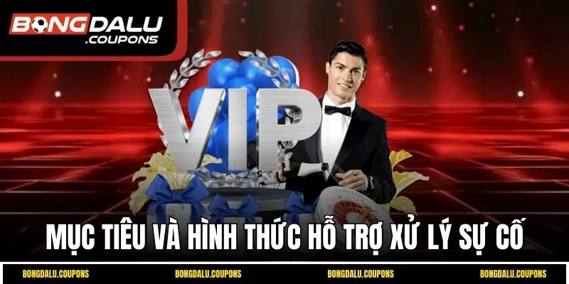 Mục tiêu và hình thức hỗ trợ xử lý sự cố