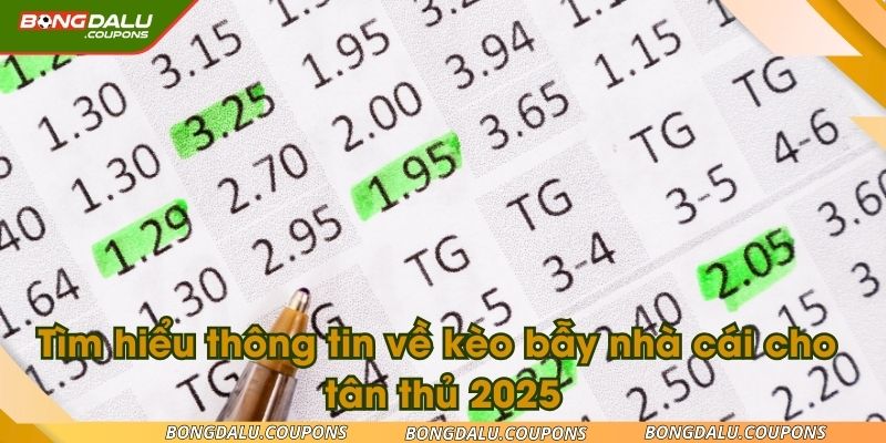 Tìm hiểu thông tin về kèo bẫy nhà cái cho tân thủ 2025