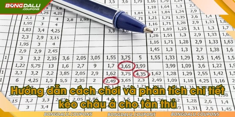Hướng dẫn cách chơi và phân tích chi tiết kèo cho tân thủ