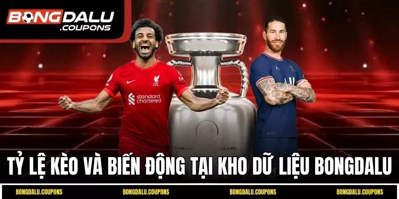 Tỷ lệ kèo và biến động tại kho dữ liệu Bongdalu