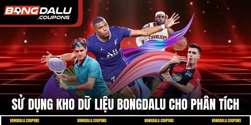 Sử dụng kho dữ liệu Bongdalu cho phân tích