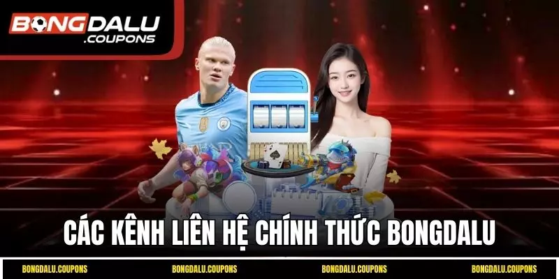 Các kênh liên hệ chính thức Bongdalu