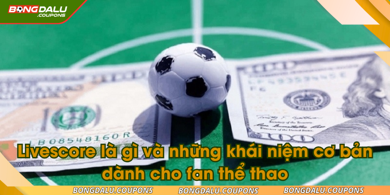 Livescore là gì và những khái niệm cơ bản dành cho fan thể thao