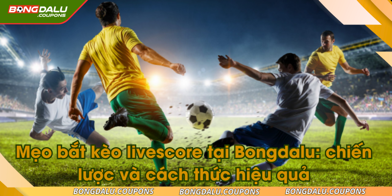 meo-bat-keo-livescore-ava