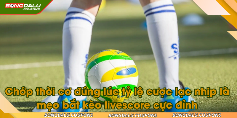 Chớp thời cơ đúng lúc tỷ lệ cược lạc nhịp là mẹo bắt kèo livescore cực đỉnh