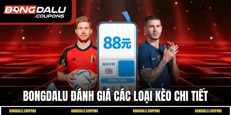 Bongdalu đánh giá các loại kèo chi tiết