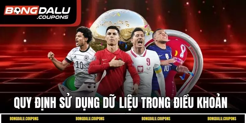 Quy định điều khoản sử dụng dữ liệu