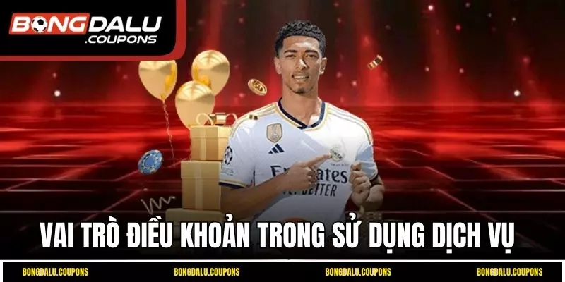 Quy định điều khoản trong sử dụng dịch vụ