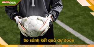 so-sanh-ket-qua-du-doan-ava