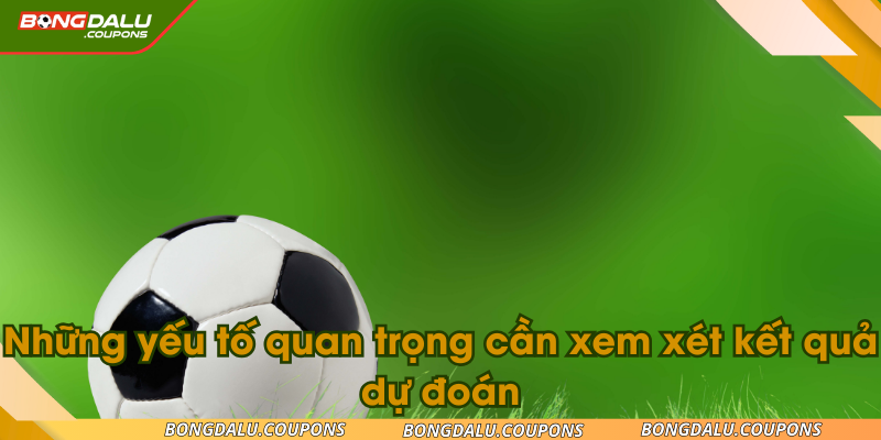 Những yếu tố quan trọng cần xem xét kết quả dự đoán