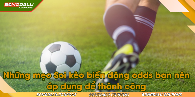 Những mẹo Soi kèo biến động odds bạn nên áp dụng để thành công