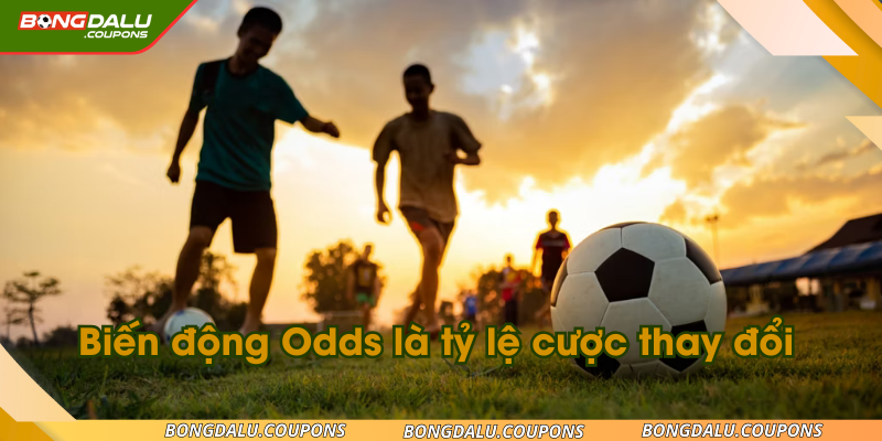 Biến động Odds là tỷ lệ cược thay đổi