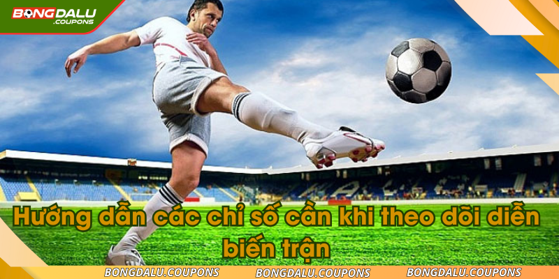 Hướng dẫn các chỉ số cần khi theo dõi diễn biến trận